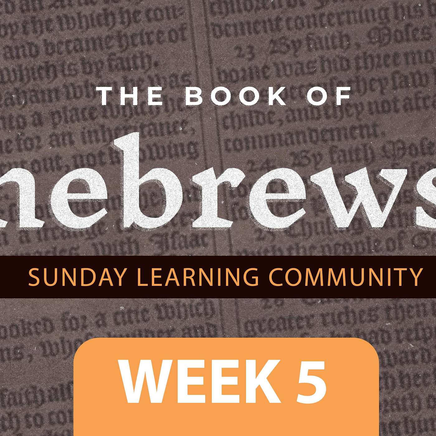 The Book Of Hebrews - Week 5 | Sunday Learning Community episode artwork
