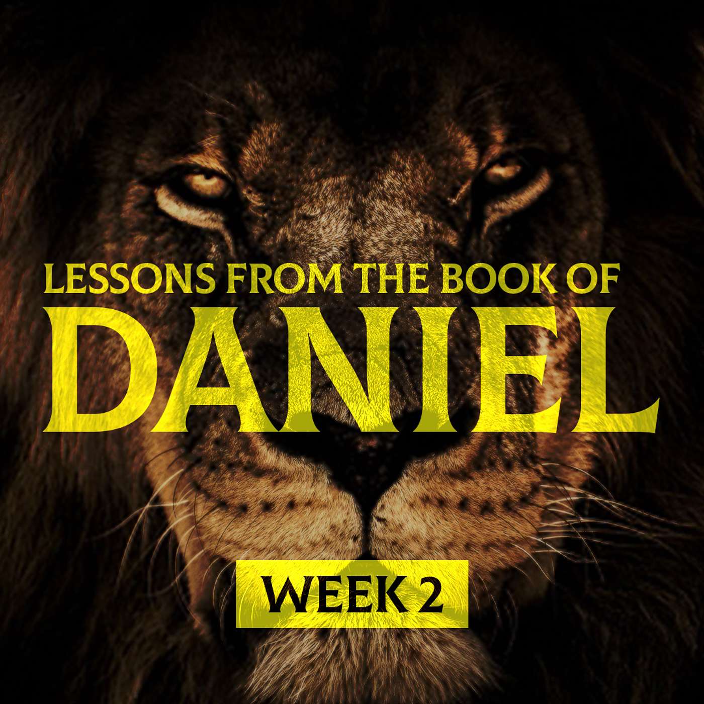 Week 2 – How to Thrive in a Modern-Day Babylon | Resilient Faith: Lessons from the Book of Daniel episode artwork