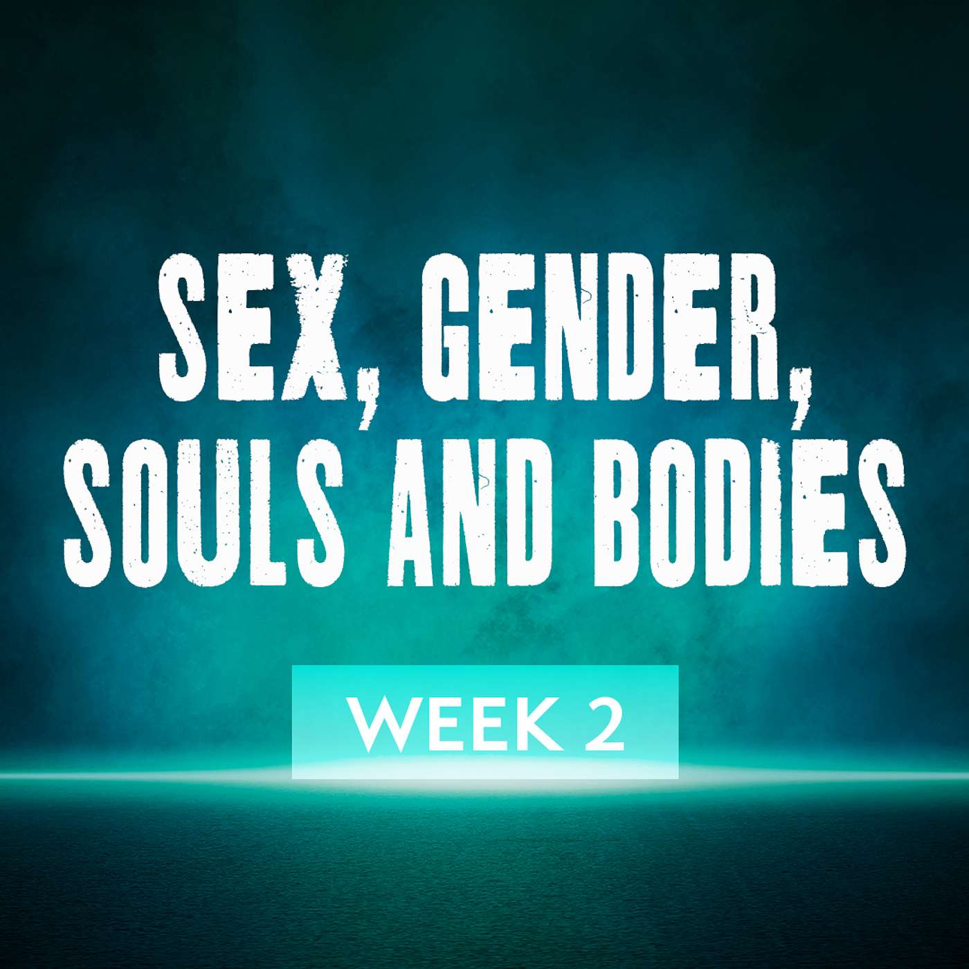 WEEK 2 - Sex, Gender, Souls and Bodies - Bible Class episode artwork