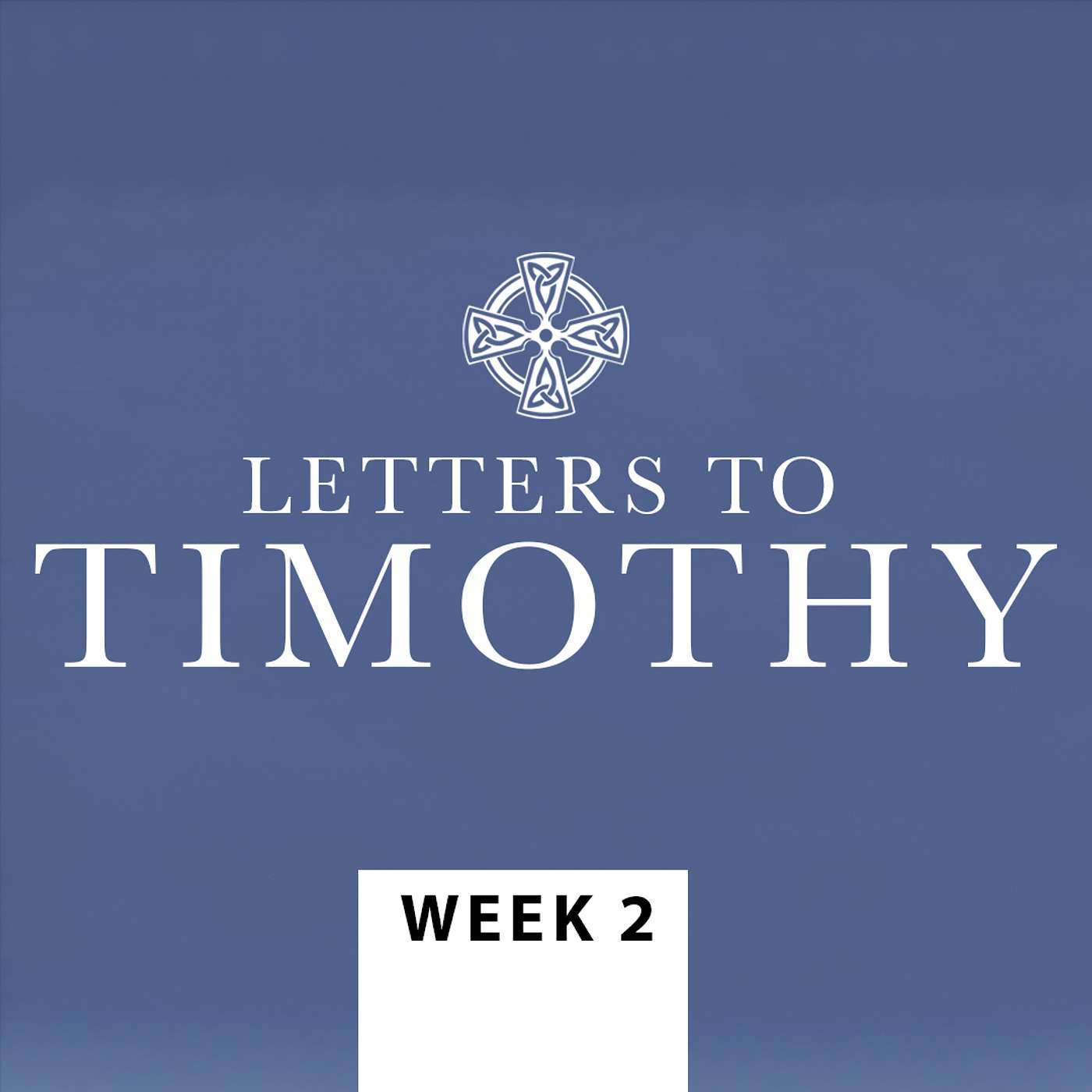 WEEK 2 - The Mentoring Moment | Bible Class episode artwork