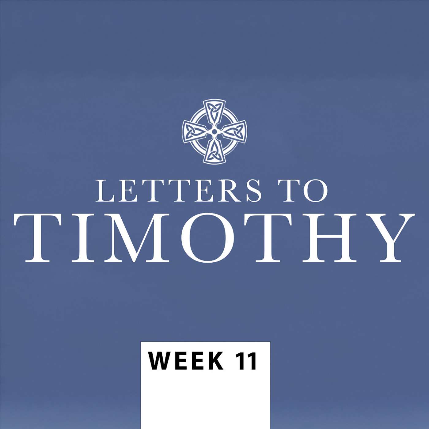 WEEK 11: The Leaving of a Legacy | Letters to Timothy - Bible Class episode artwork