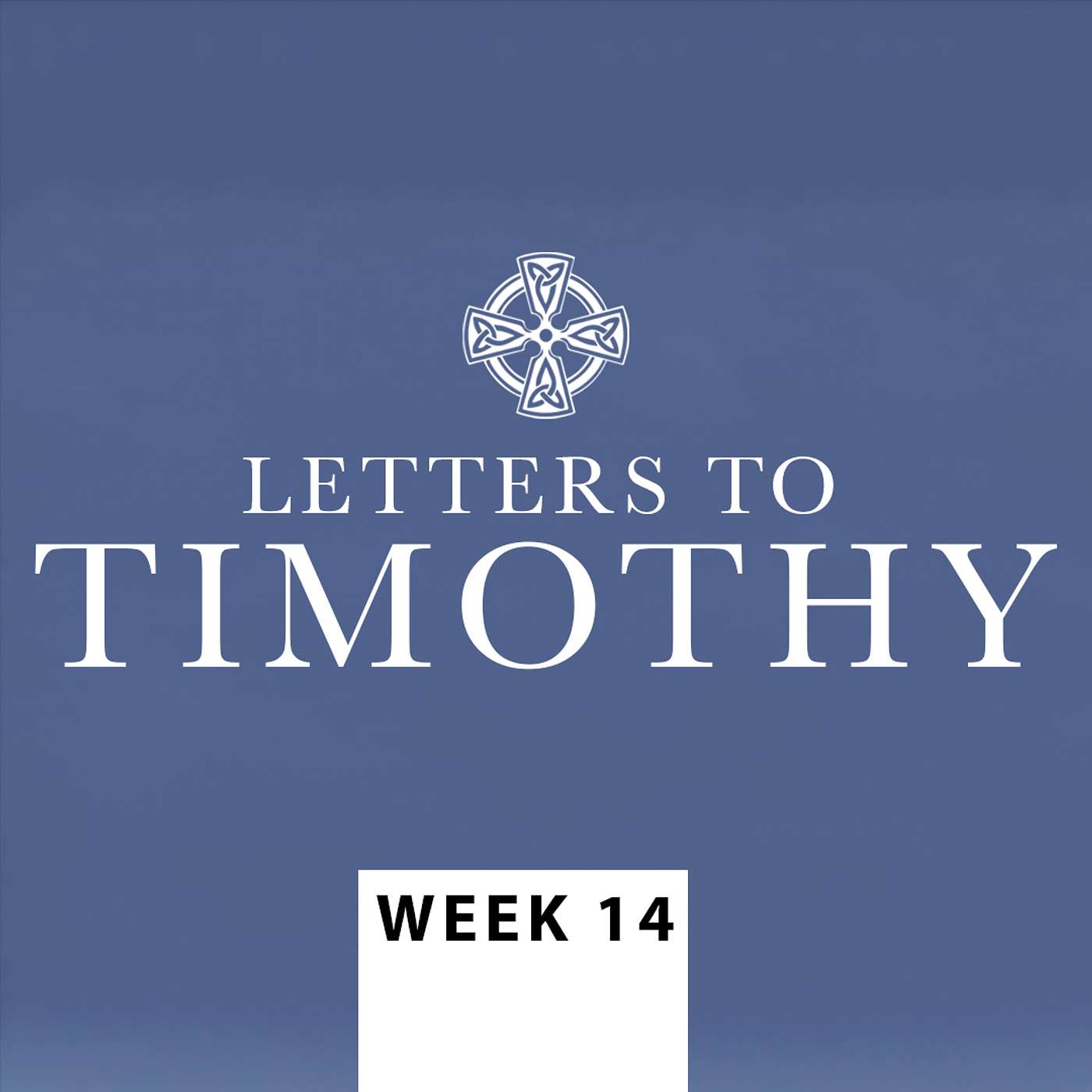 WEEK 14: Passing the Baton | Letters to Timothy - Bible Class episode artwork