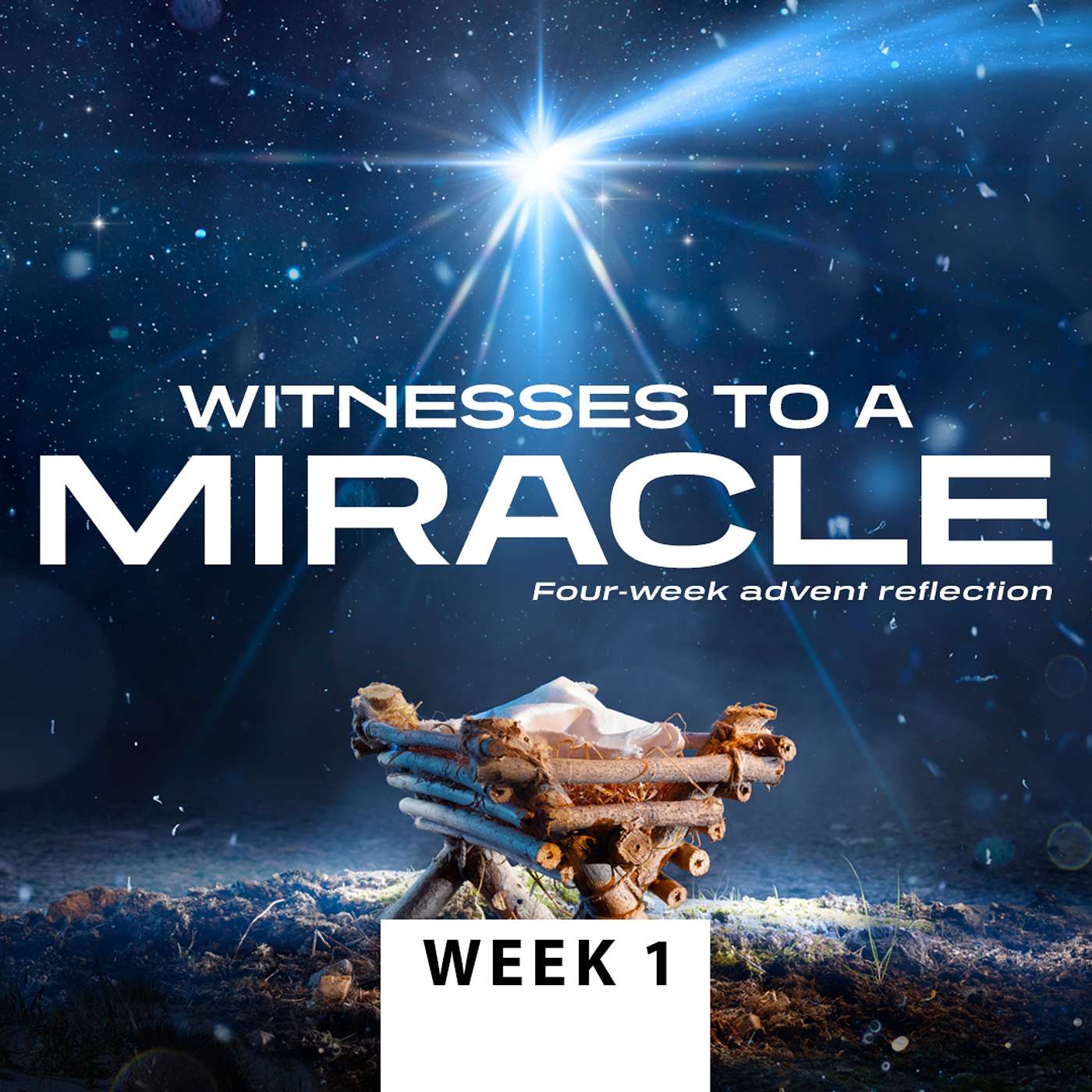 WEEK 1: The Story Mary Told | Witnesses to a Miracle - Advent Reflection episode artwork